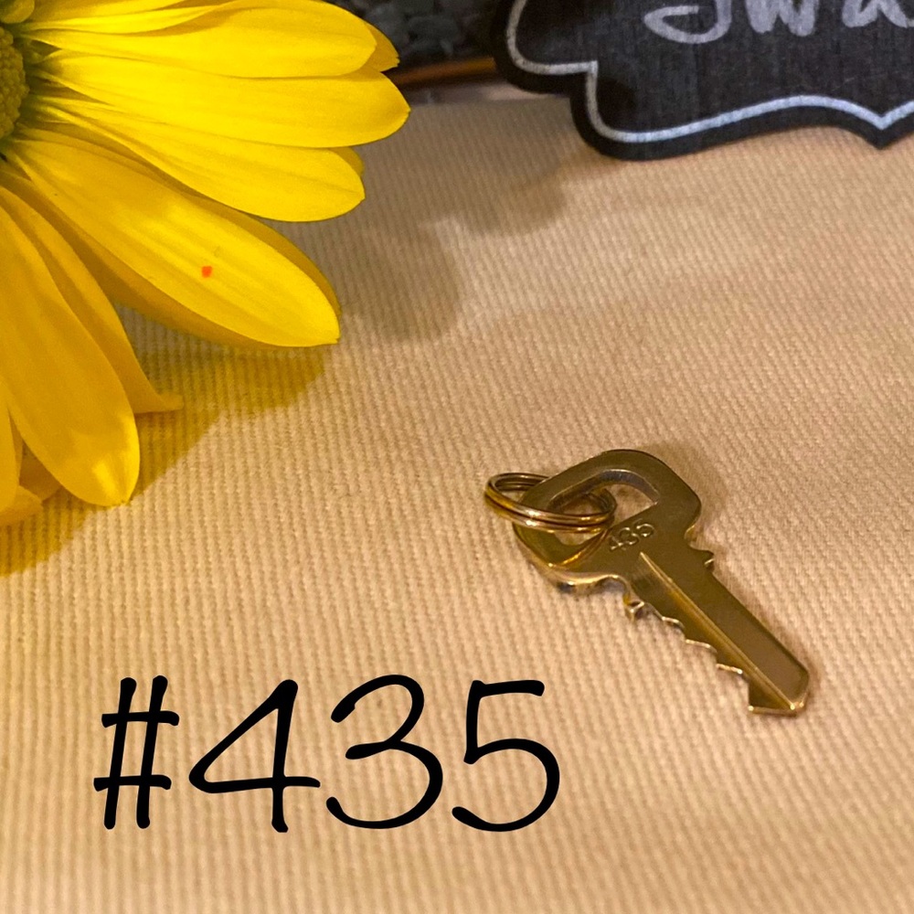 Authentic Louis Vuitton LV Key #435